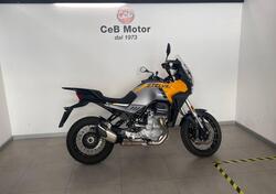 Moto Guzzi Stelvio (2024 - 25) usata