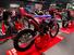 Betamotor RR 50 Enduro Racing (2021 - 25) (6)