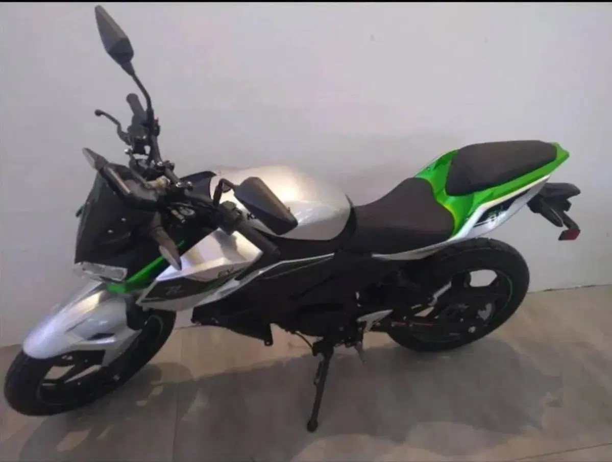 Kawasaki Z e-1 (2024 - 26) (2)