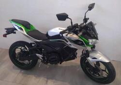 Kawasaki Z e-1 (2024 - 25) usata
