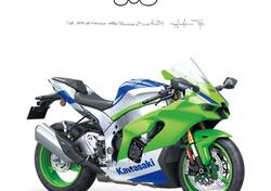 Kawasaki Ninja 1000 ZX-10R 40th Anniversary Edition (2024) usata