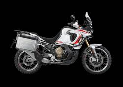 MV Agusta LXP Orioli (2024 - 25) usata