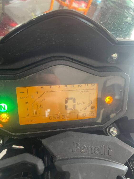Benelli TRK 251 (2022 - 25) (3)