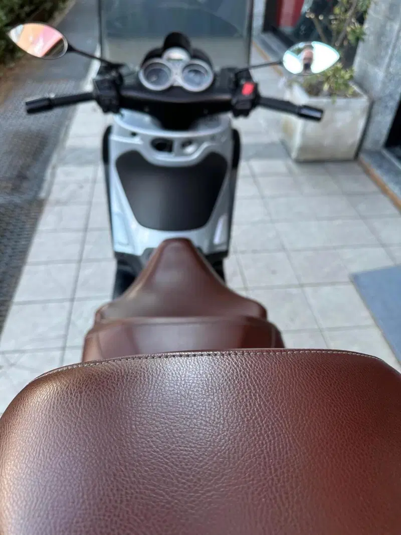 Piaggio Beverly 250 (2004 - 05) (10)