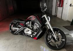Harley-Davidson 1250 V-Rod Muscle (2009 - 17) - VRSCF usata
