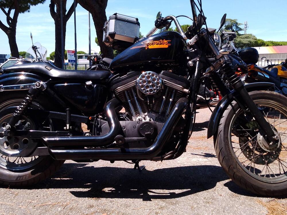 Harley-Davidson 883 Standard (1994 - 00) - XLH (4)