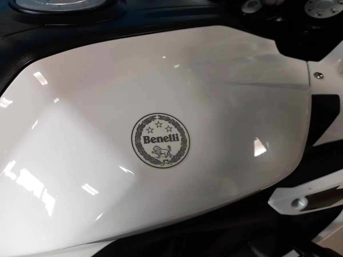 Benelli TRK 502X (2018 - 20) (18)