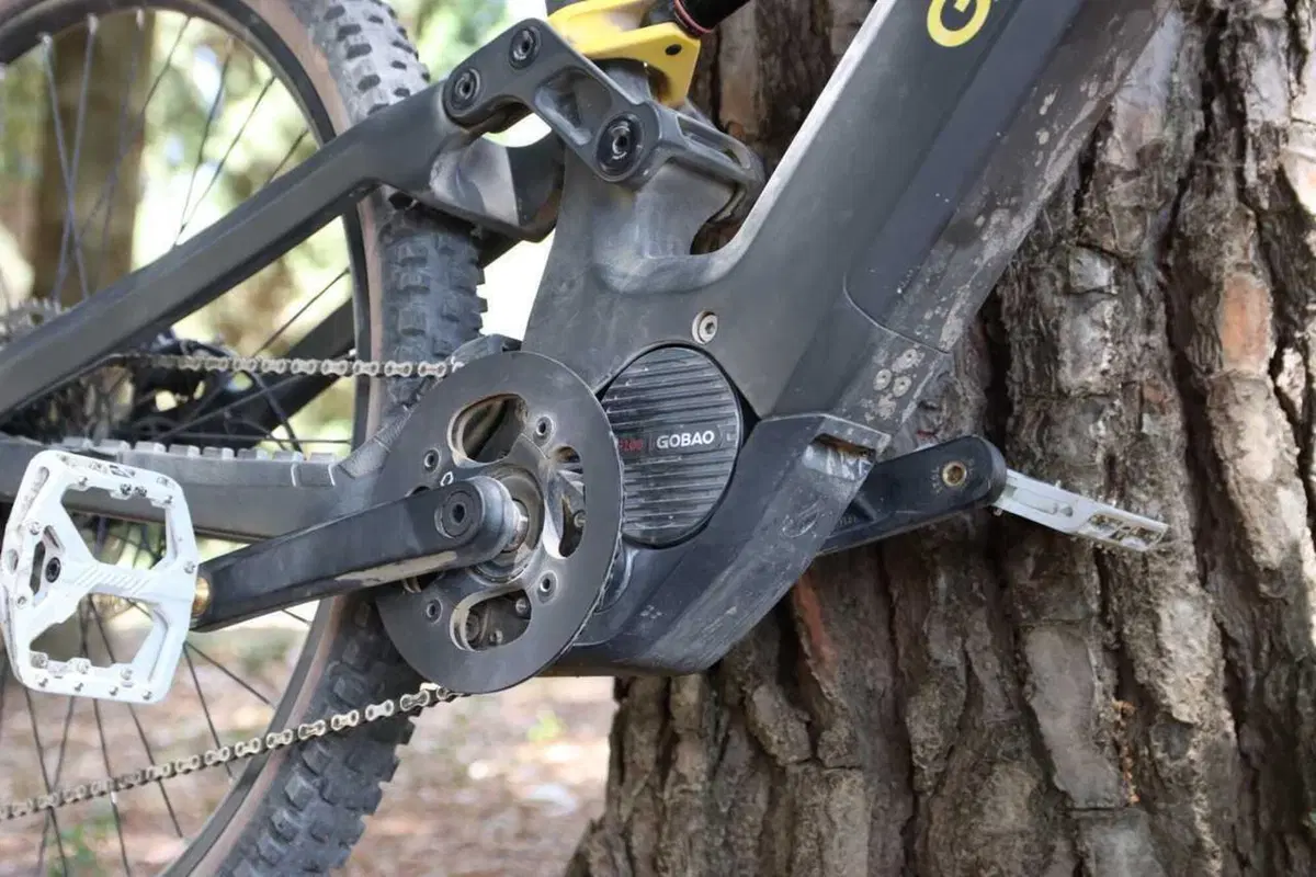 Gobao P100: TEST del motore eBike da 100Nm che sfida Bosch e Shimano con 750W di potenza