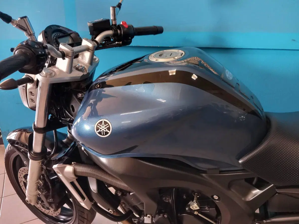 Yamaha FZ6 (2004 - 07) (9)