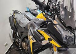 Voge Valico 300 Rally (2022 - 25) nuova