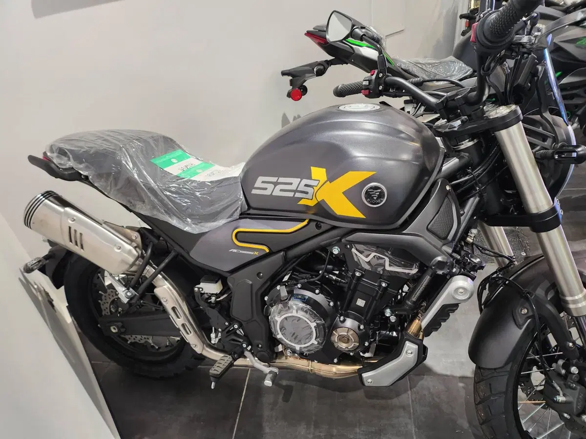 Voge Trofeo 525ACX Scrambler (2023 - 26)