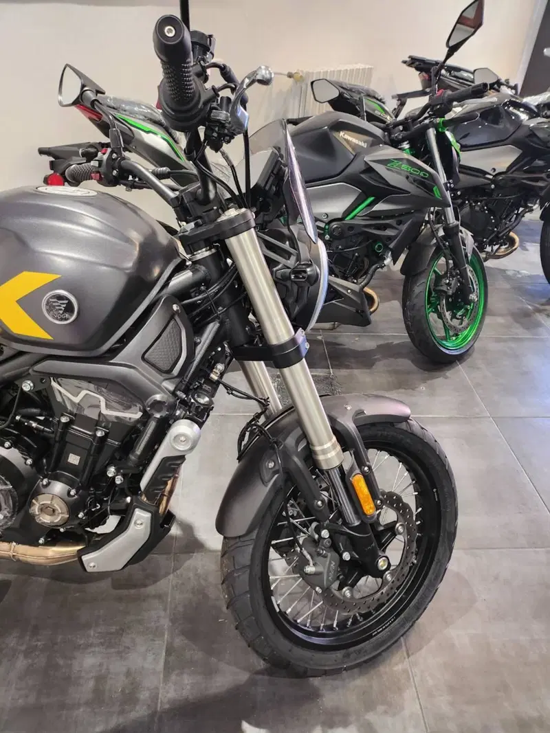 Voge Trofeo 525ACX Scrambler (2023 - 26) (2)