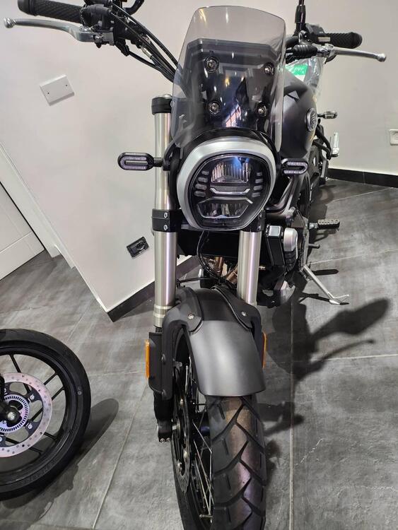 Voge Trofeo 525ACX Scrambler (2023 - 25) (4)