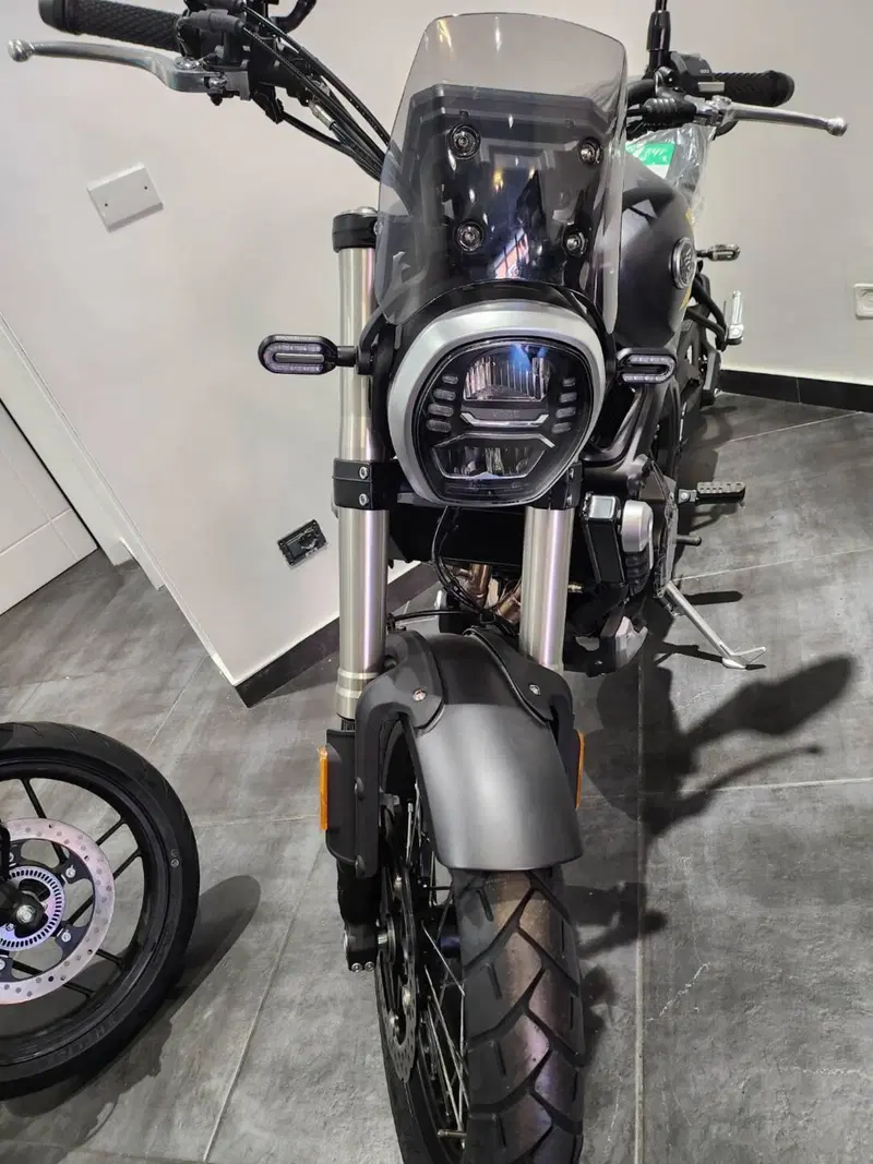 Voge Trofeo 525ACX Scrambler (2023 - 26) (4)