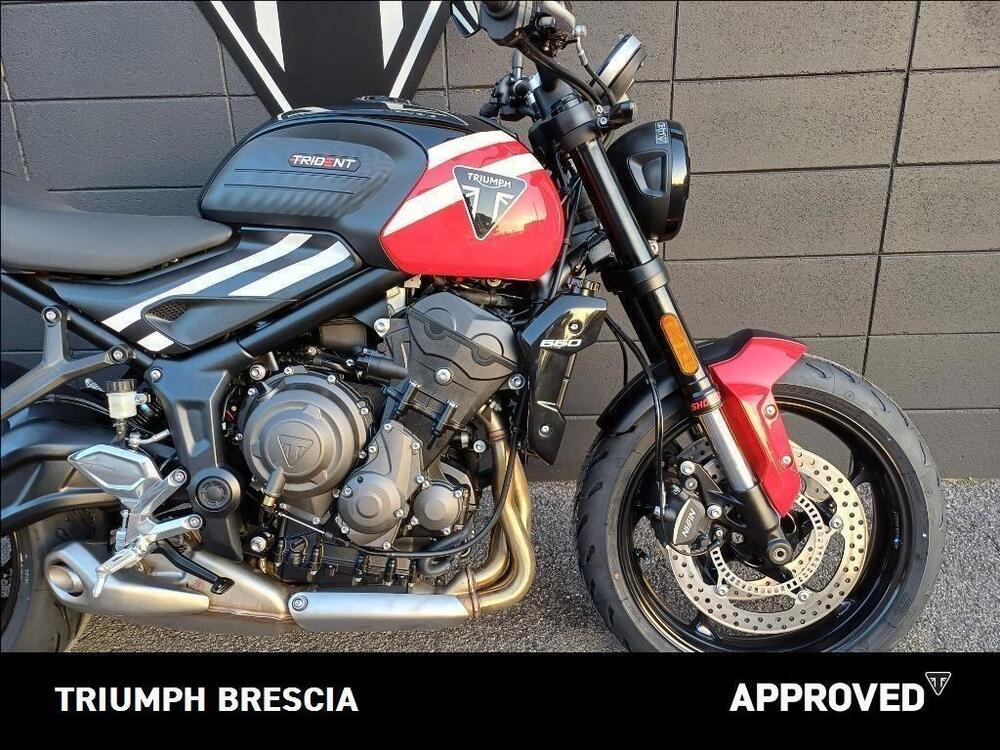 Triumph Trident 660 (2025) (5)