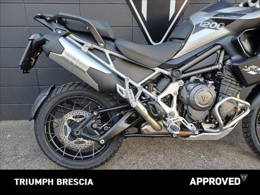 Triumph Tiger 1200 Rally Pro (2024 - 25) (4)