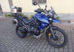Triumph Tiger 800 XCa (2018 - 20) usata