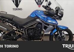 Triumph Tiger 800 XRx (2015 - 17) usata