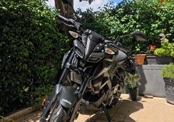 Yamaha MT-125 (2021 - 24) usata