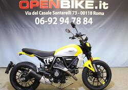 Ducati Scrambler 800 Icon (2023 - 25) usata