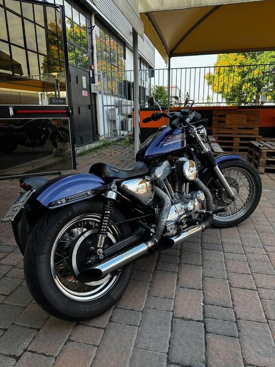 Harley-Davidson 883 Hugger (1994 - 00) - XLH (2)