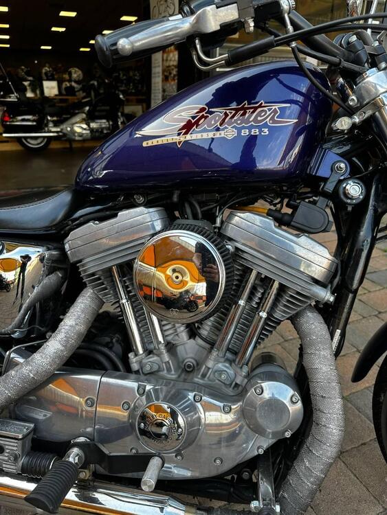 Harley-Davidson 883 Hugger (1994 - 00) - XLH (5)