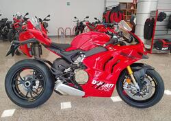 Ducati Panigale V4 S (2022 - 24) usata