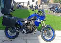 Yamaha Ténéré 700 (2022 - 24) usata