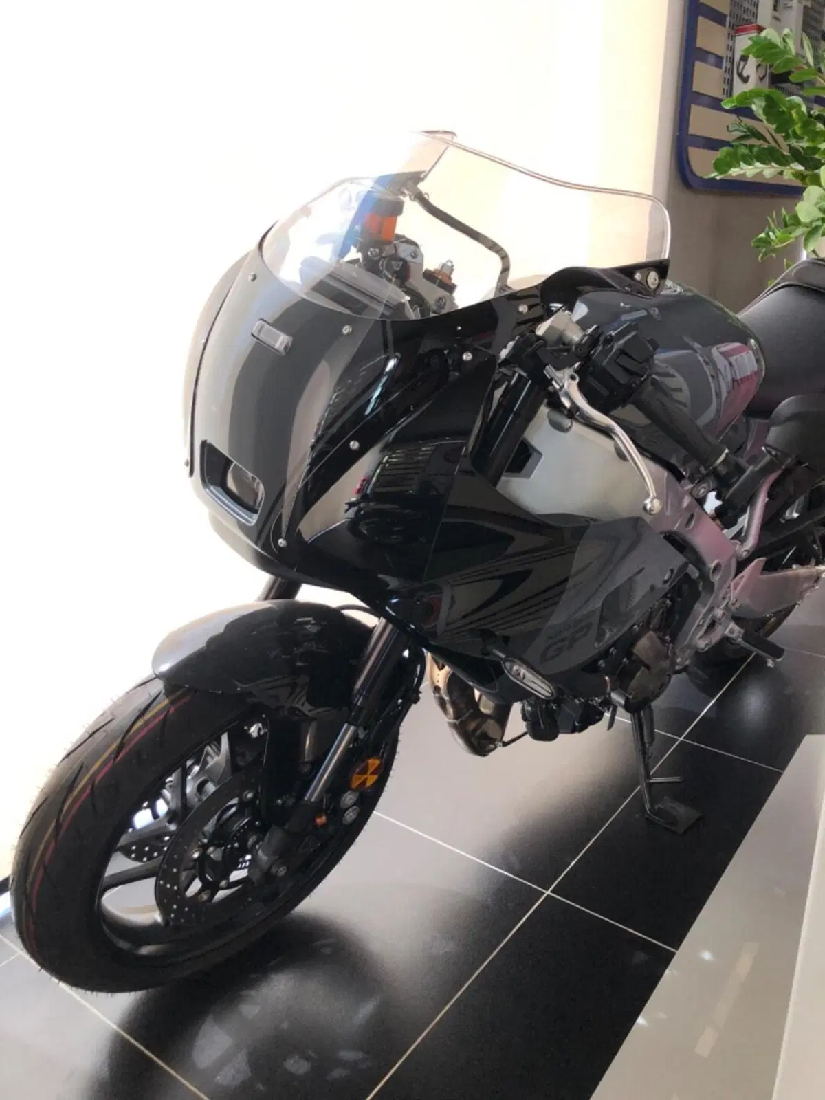 Yamaha XSR 900 GP (2024 - 26)