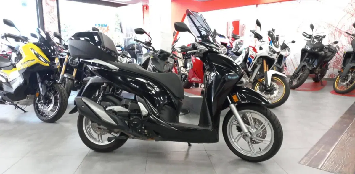 Honda SH 350 (2021 - 24)