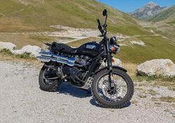 Triumph Scrambler (2006 - 17) usata