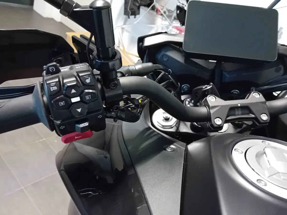 QJ Motor SRT 900 SX (2025 - 26) (9)