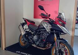 QJ Motor SRT 900 SX (2025) nuova