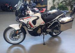 MV Agusta LXP Orioli (2024 - 25) nuova