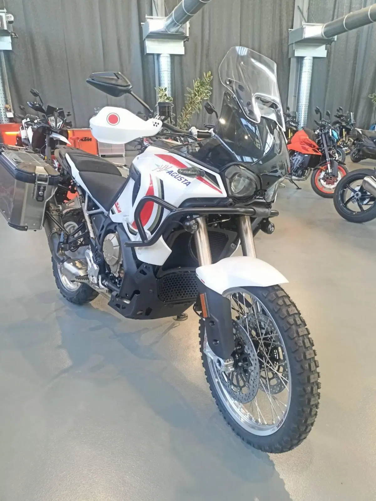 MV Agusta LXP Orioli (2024 - 26) (2)