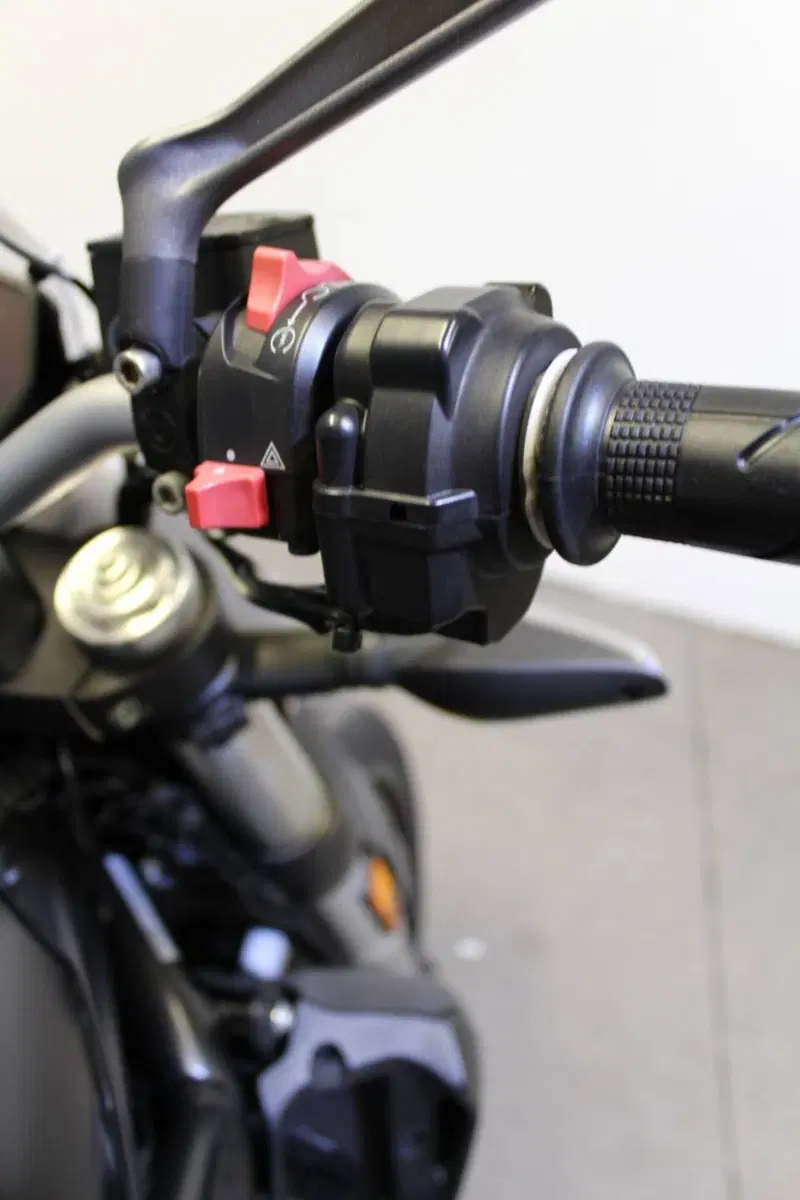 Ducati Monster 821 Stealth (2019 - 20) (11)