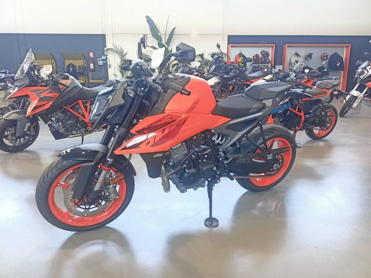 KTM 990 Duke (2024 - 26)