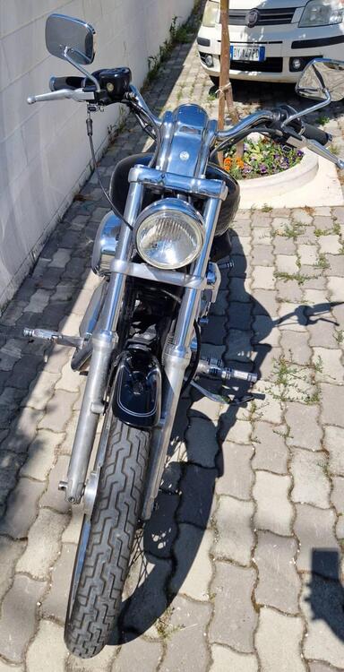 Harley-Davidson 1200 Custom (2004 - 06) - XL 1200C (2)