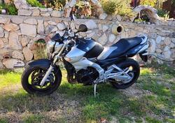 Suzuki GSR 600 (2006 - 11) usata