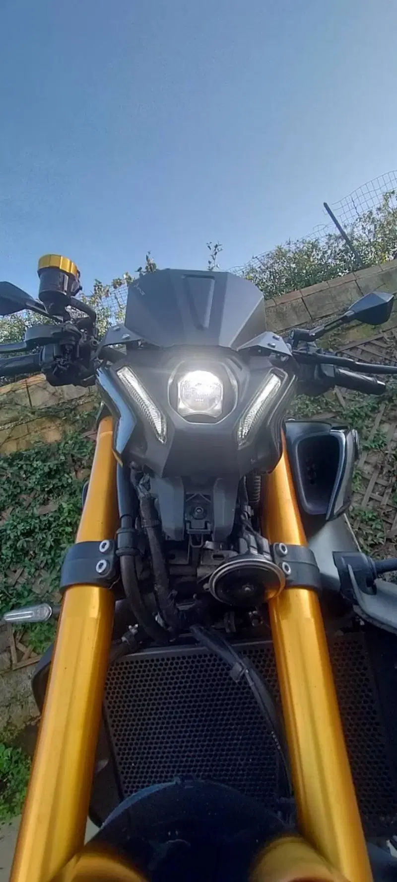 Yamaha MT-09 SP (2021 - 23) (11)