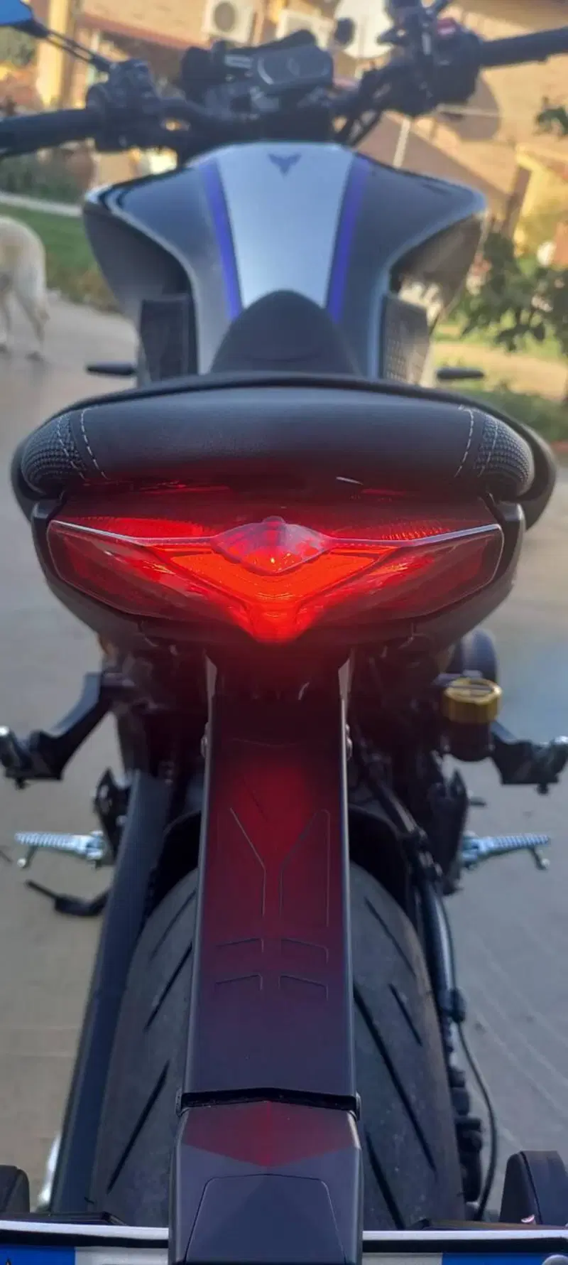 Yamaha MT-09 SP (2021 - 23) (12)
