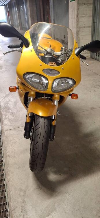 Triumph Daytona 955 I (1999 - 01) (3)