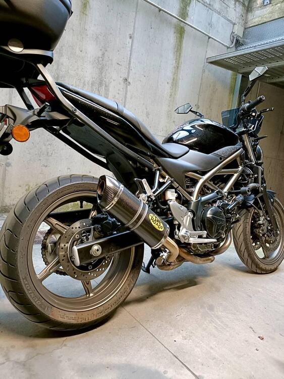 Suzuki SV650 (2021 - 24) (3)