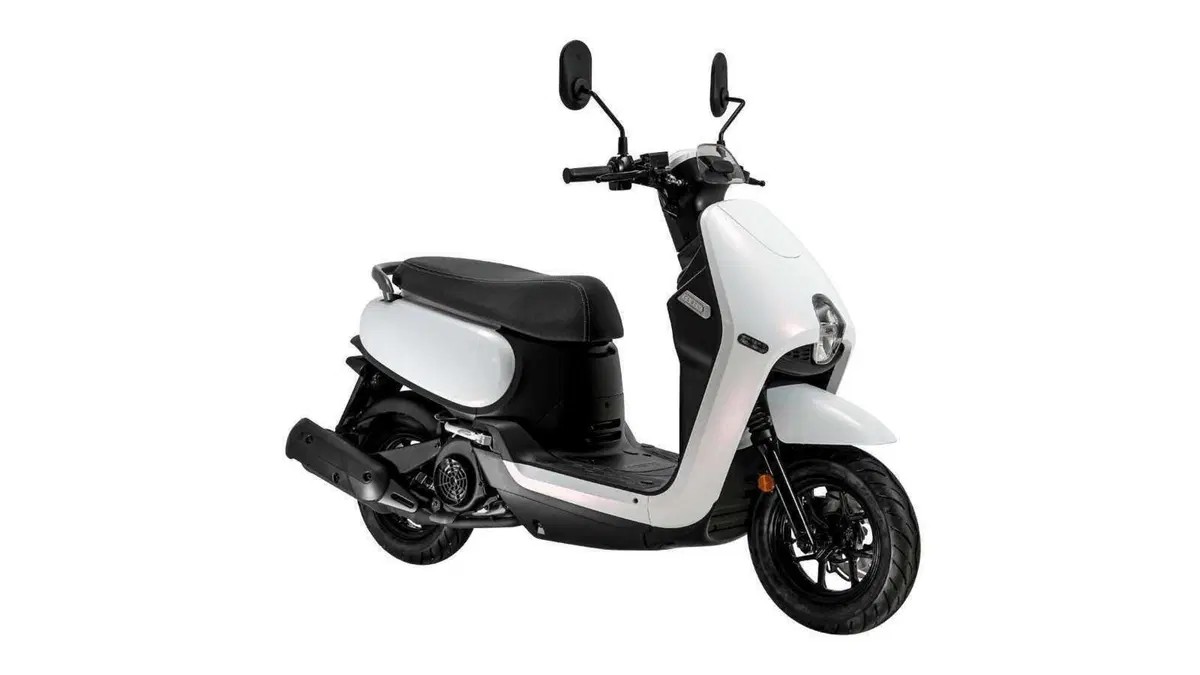 Sym CLBCU CLBCU 50 (2025 - 26) (8)
