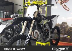 Triumph TF 250-X (2024 - 25) usata