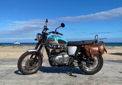 Triumph Scrambler (2006 - 17) usata