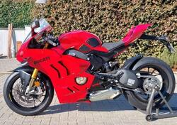 Ducati Panigale V4 S (2022 - 24) usata