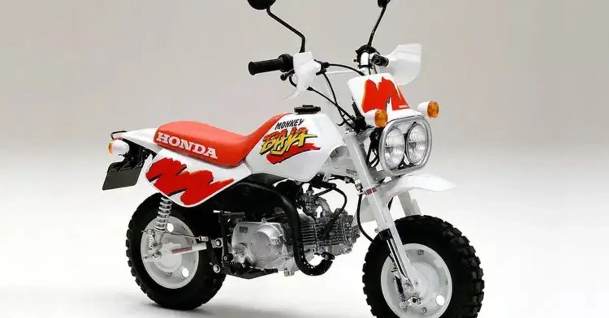 Honda Monkey Baja 125: e se vi dicessimo che starebbe per tornare la mini-enduro anni '80?