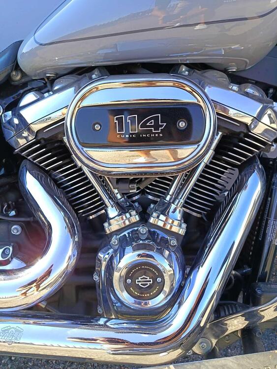 Harley-Davidson Fat Boy 114 (2021 - 24) (5)