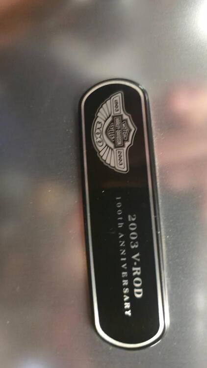 Harley-Davidson 1130 V-ROD (2002 - 05) - VRSCB (5)